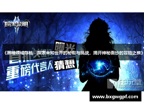 《黑暗领域存档：探索未知世界的秘密与挑战，揭开神秘面纱的冒险之旅》